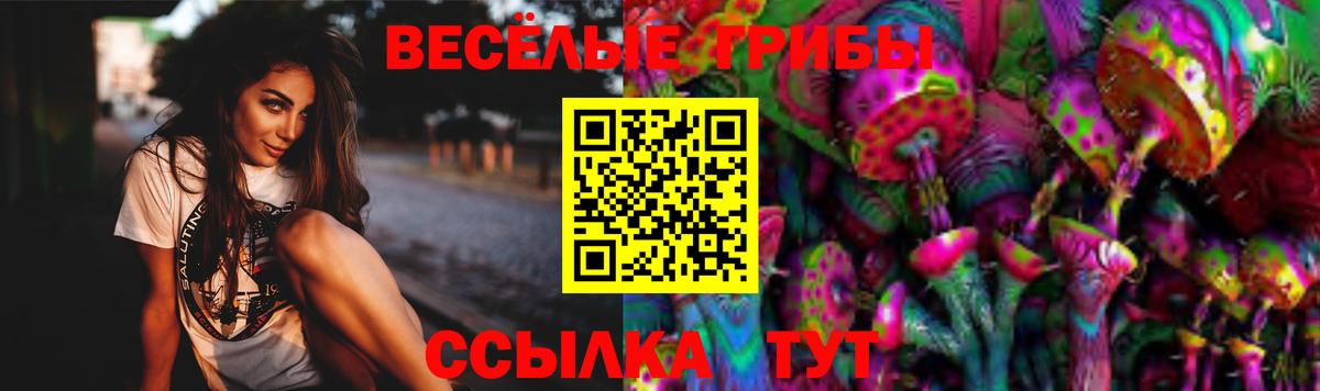 Димитровград  Галлюциногенные грибы Cubensis  Галлюциногенные грибы ЛСД  Вход с VPN 